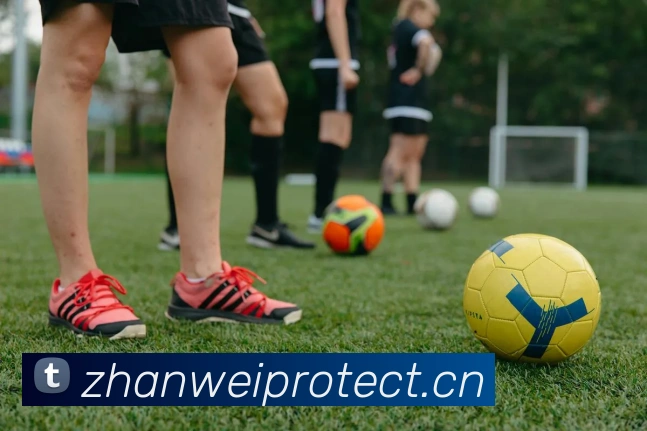 App Interface Preview